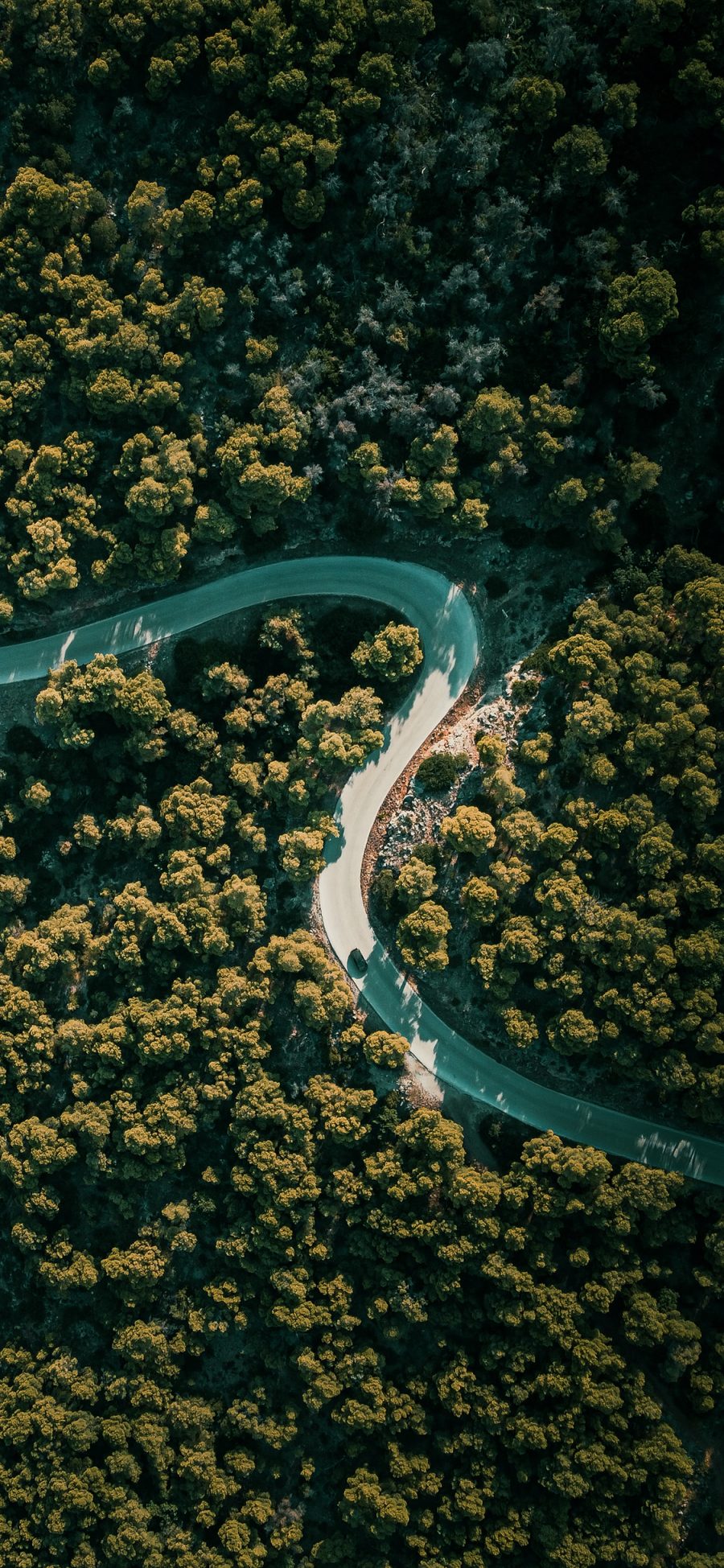 [2436×1125]道路 蜿蜒 公路 树木 树林 苹果手机壁纸图片