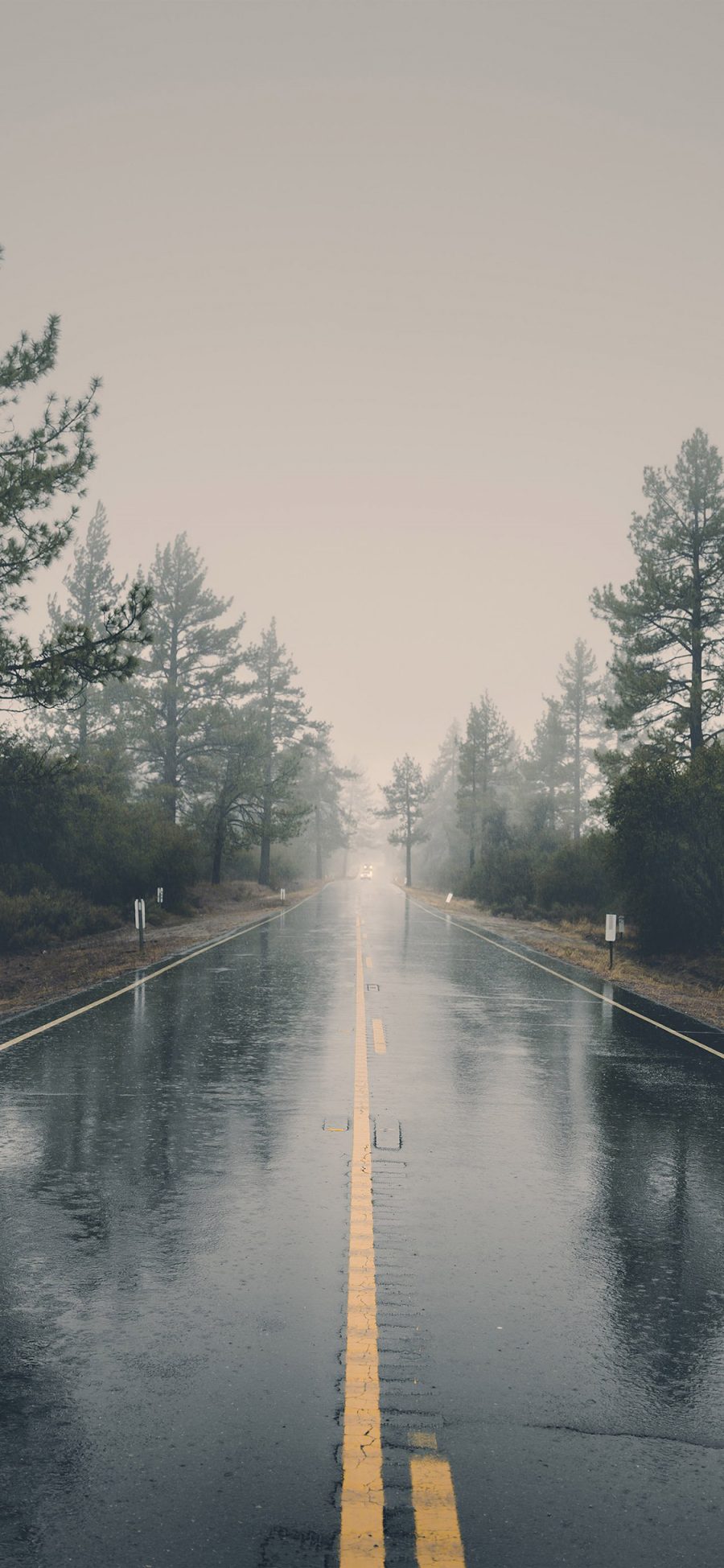 [2436×1125]道路 雨水 树木 倒影 苹果手机壁纸图片