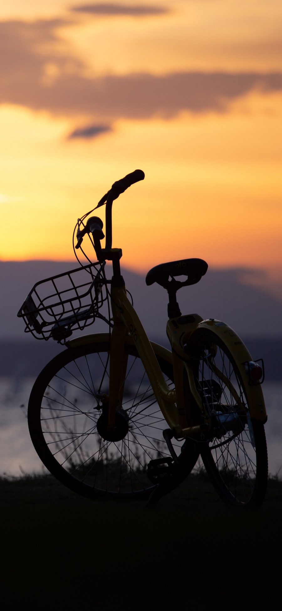 [2436×1125]郊外 单车 落日 夕阳美景 苹果手机壁纸图片