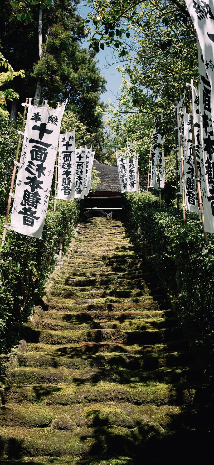 [2436×1125]郊外 楼梯 树木 旗帜 苹果手机壁纸图片