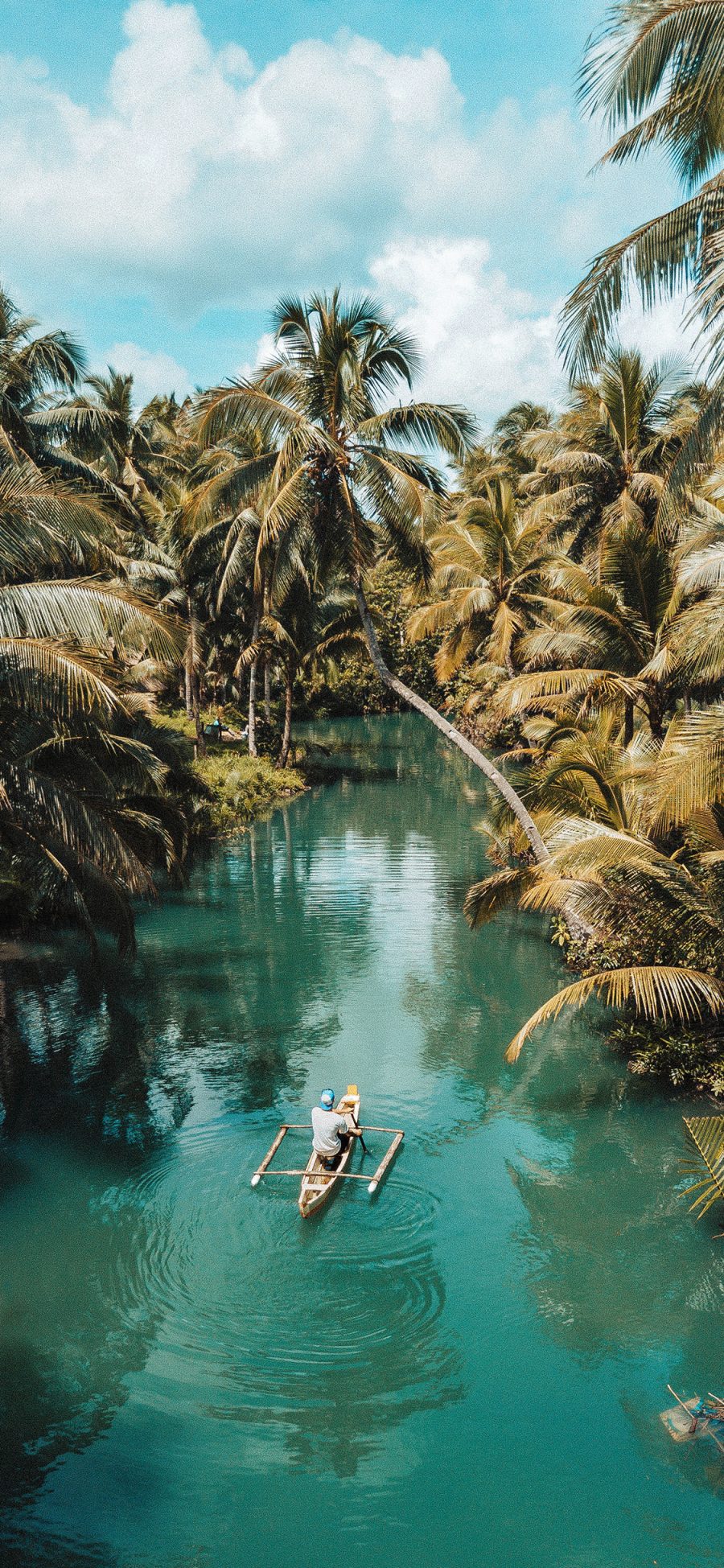 [2436×1125]郊外 美景 河流 椰树 船只 苹果手机壁纸图片