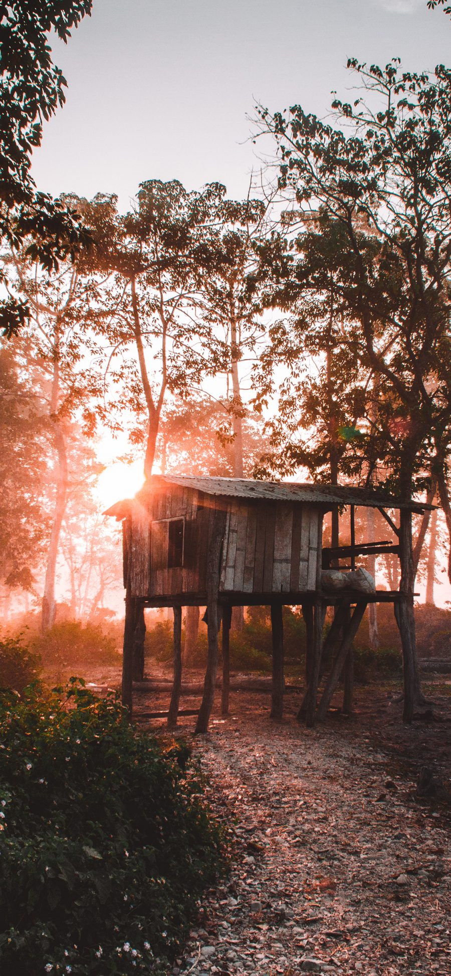 [2436×1125]郊外 自然 小木屋 阳光 苹果手机壁纸图片