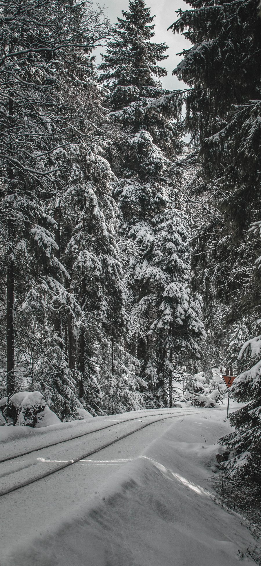 [2436×1125]郊外 风景 树木 白雪覆盖 冬天 苹果手机壁纸图片