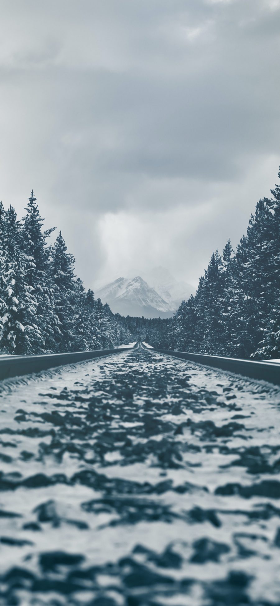 [2436×1125]铁轨 铁路 雪地 树木 交通 冬季 苹果手机壁纸图片