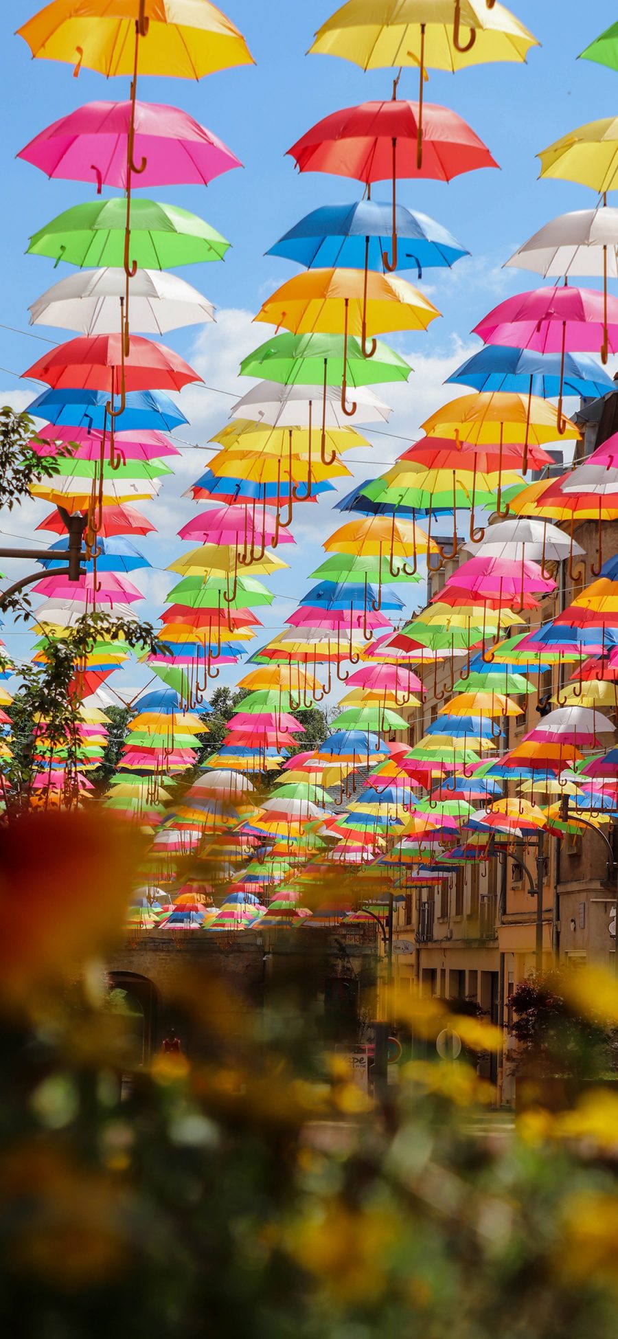 [2436×1125]雨伞 色彩 悬空 观赏 苹果手机壁纸图片