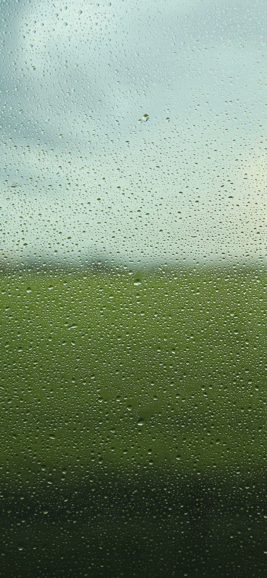 [2436×1125]雨水 玻璃 水珠 绿色 苹果手机壁纸图片