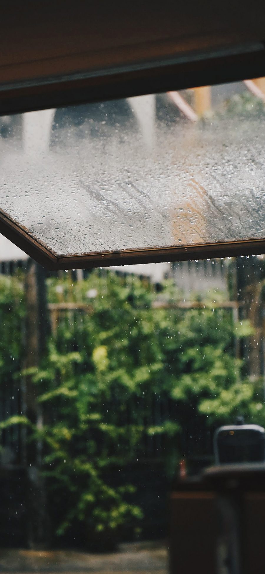 [2436×1125]雨水 窗户 种植 栽培 水滴 苹果手机壁纸图片