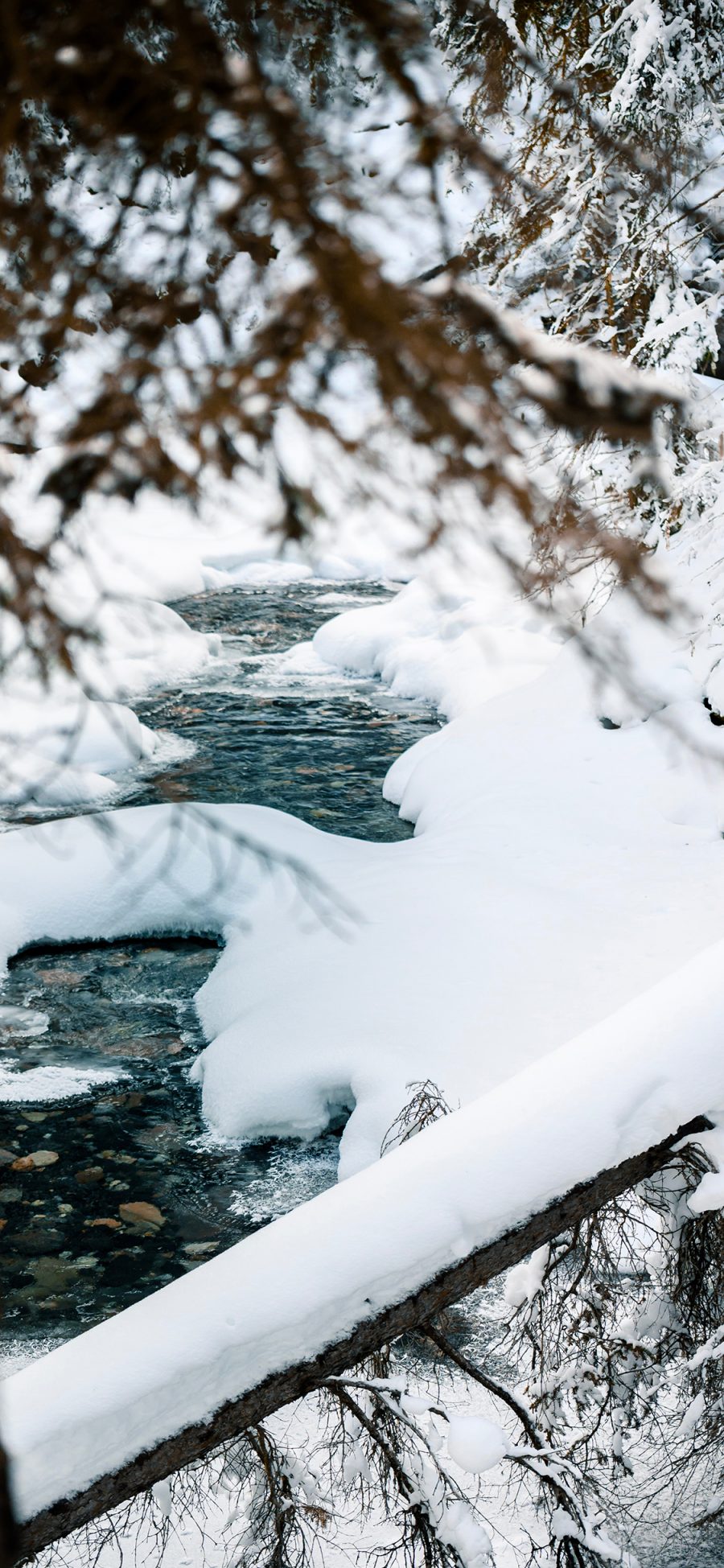 [2436×1125]雪地 河流 树木 自然美景 苹果手机壁纸图片