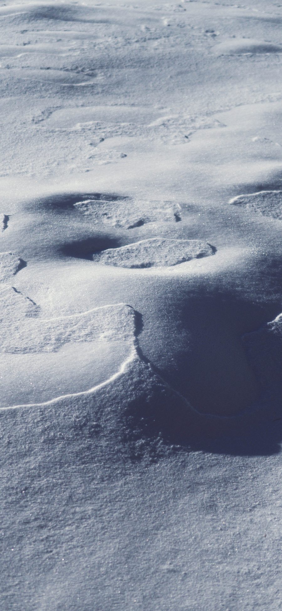 [2436×1125]雪地 白色 冬季 寒冷 苹果手机壁纸图片