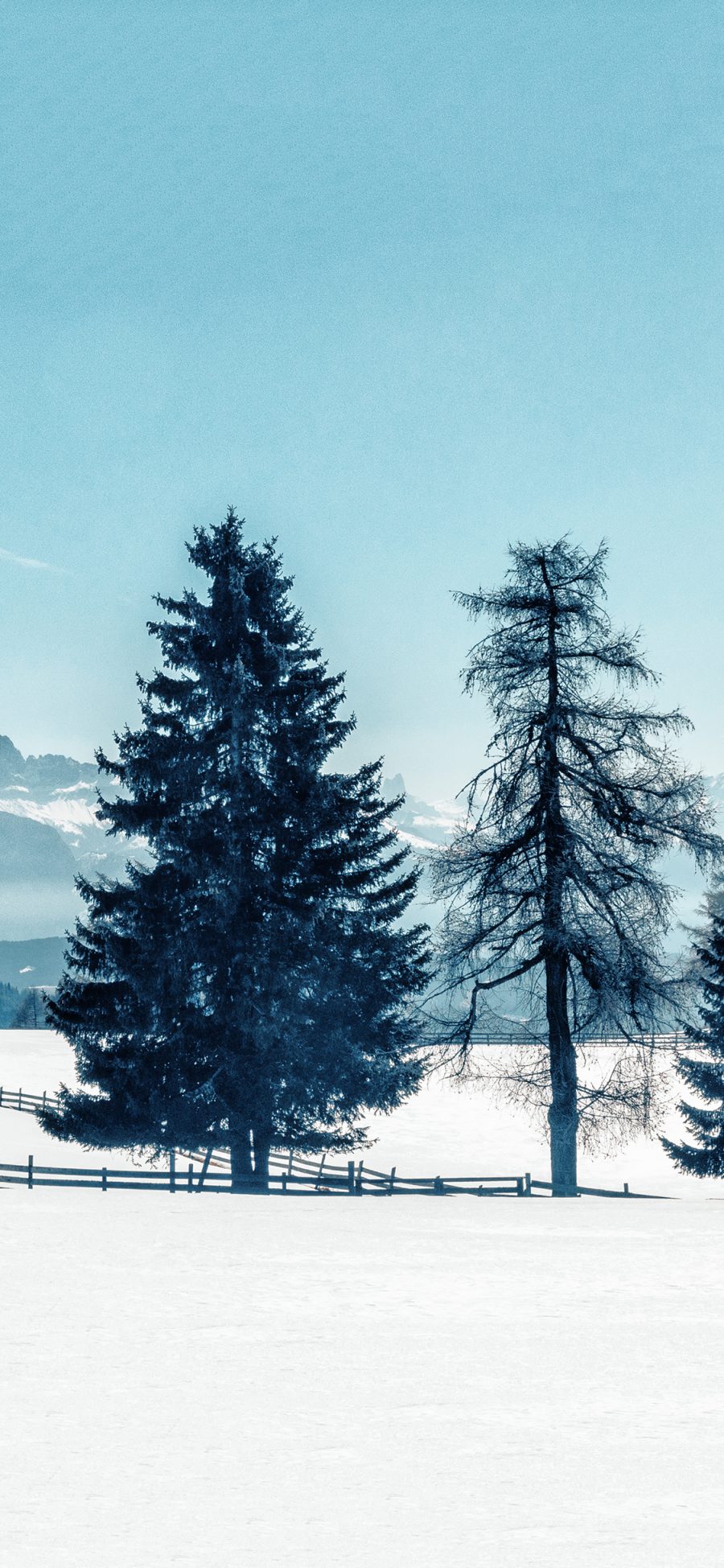 [2436×1125]雪地 美景 松树 唯美 苹果手机壁纸图片