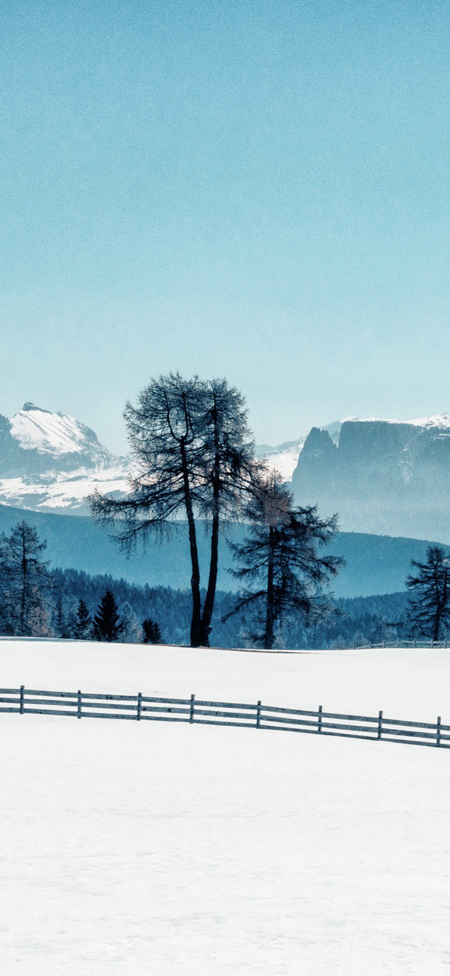 [2436×1125]雪地 美景 树木 山峰 苹果手机壁纸图片