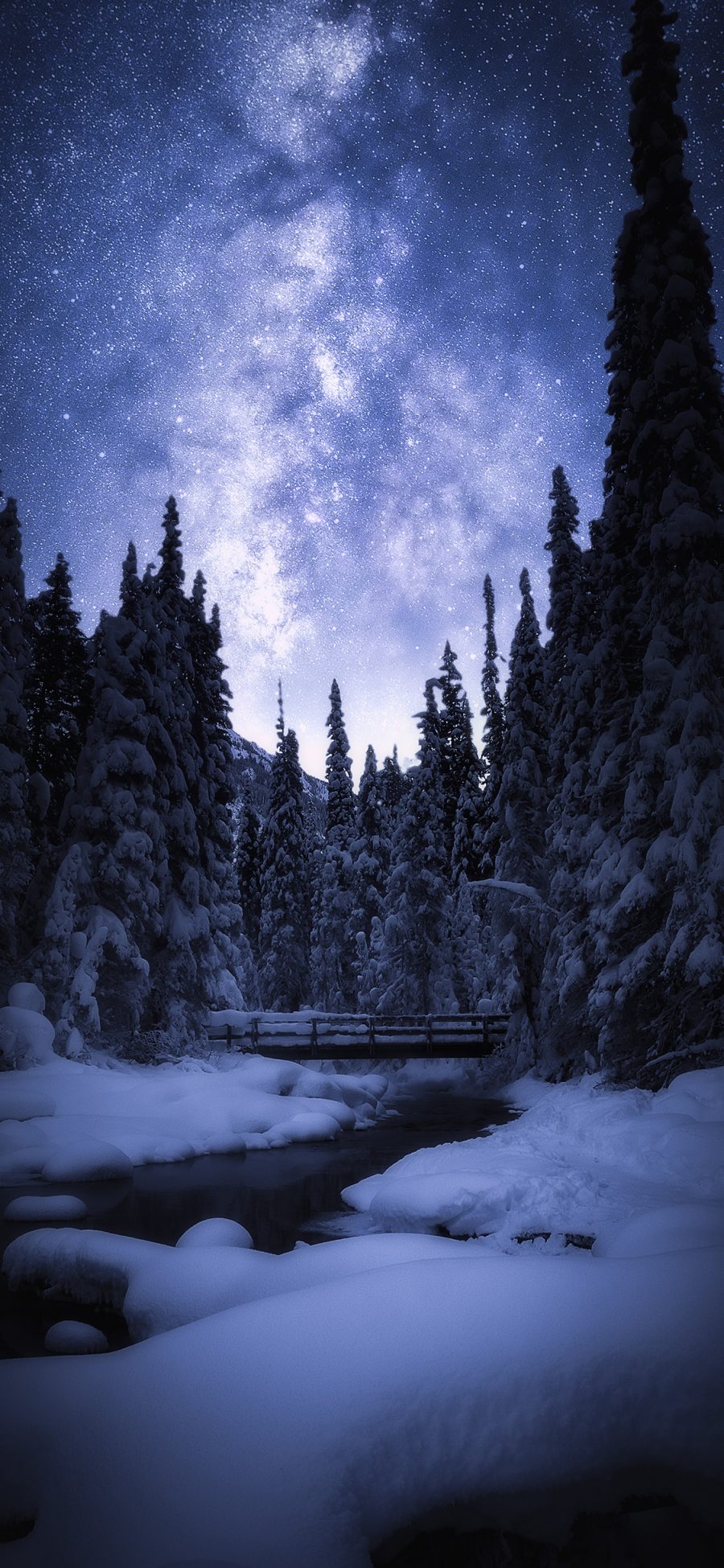 [2436×1125]雪季 星空 雪景 树木 苹果手机壁纸图片