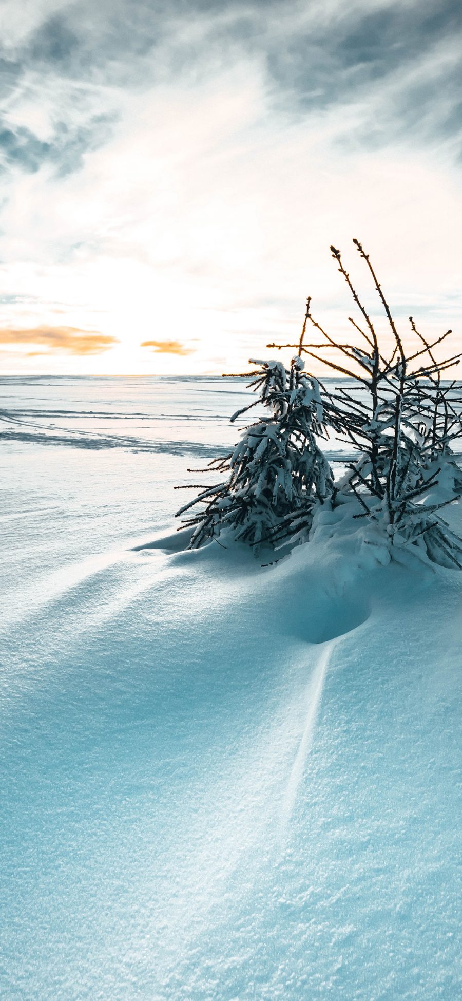 [2436×1125]雪季 雪地 树木 天空 唯美 苹果手机壁纸图片