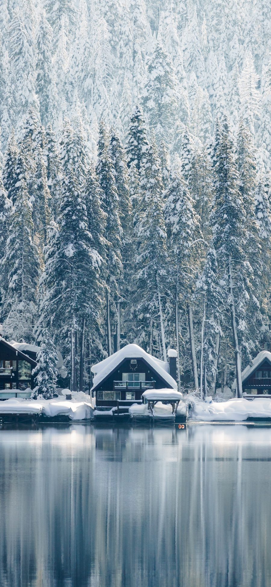 [2436×1125]雪屋 湖岸 雪松 雪季 苹果手机壁纸图片