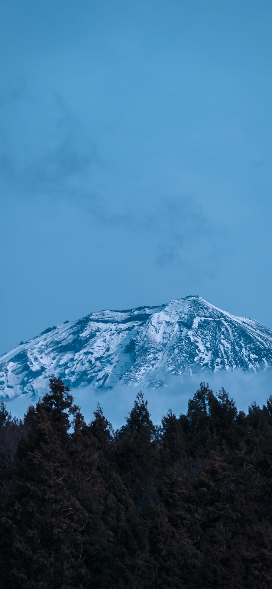 [2436×1125]雪山 山峰 蓝色 树木 苹果手机壁纸图片