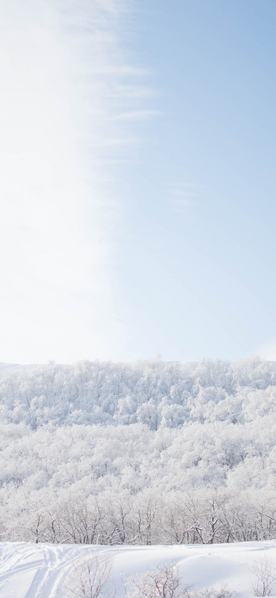 [2436×1125]雪景 白色 唯美 冬季 动态 雪地 苹果手机壁纸图片