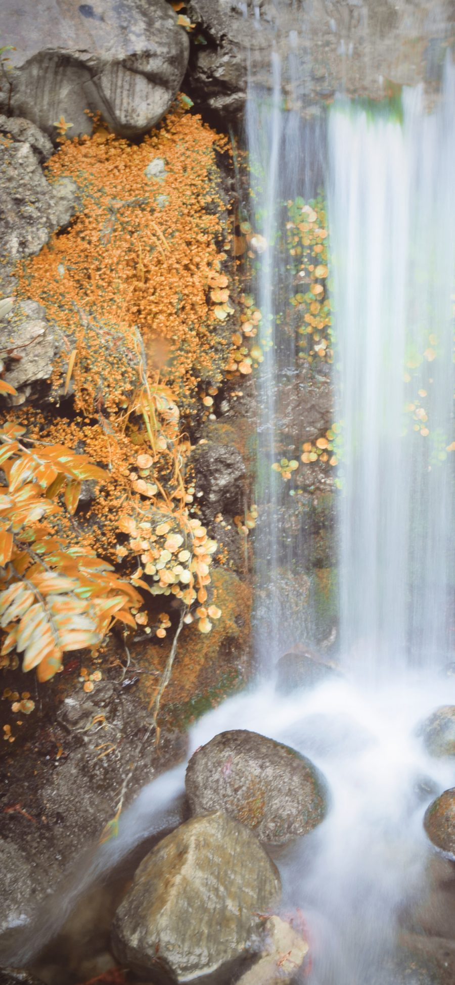[2436×1125]风景 自然 秋季 瀑布 水流 苹果手机壁纸图片