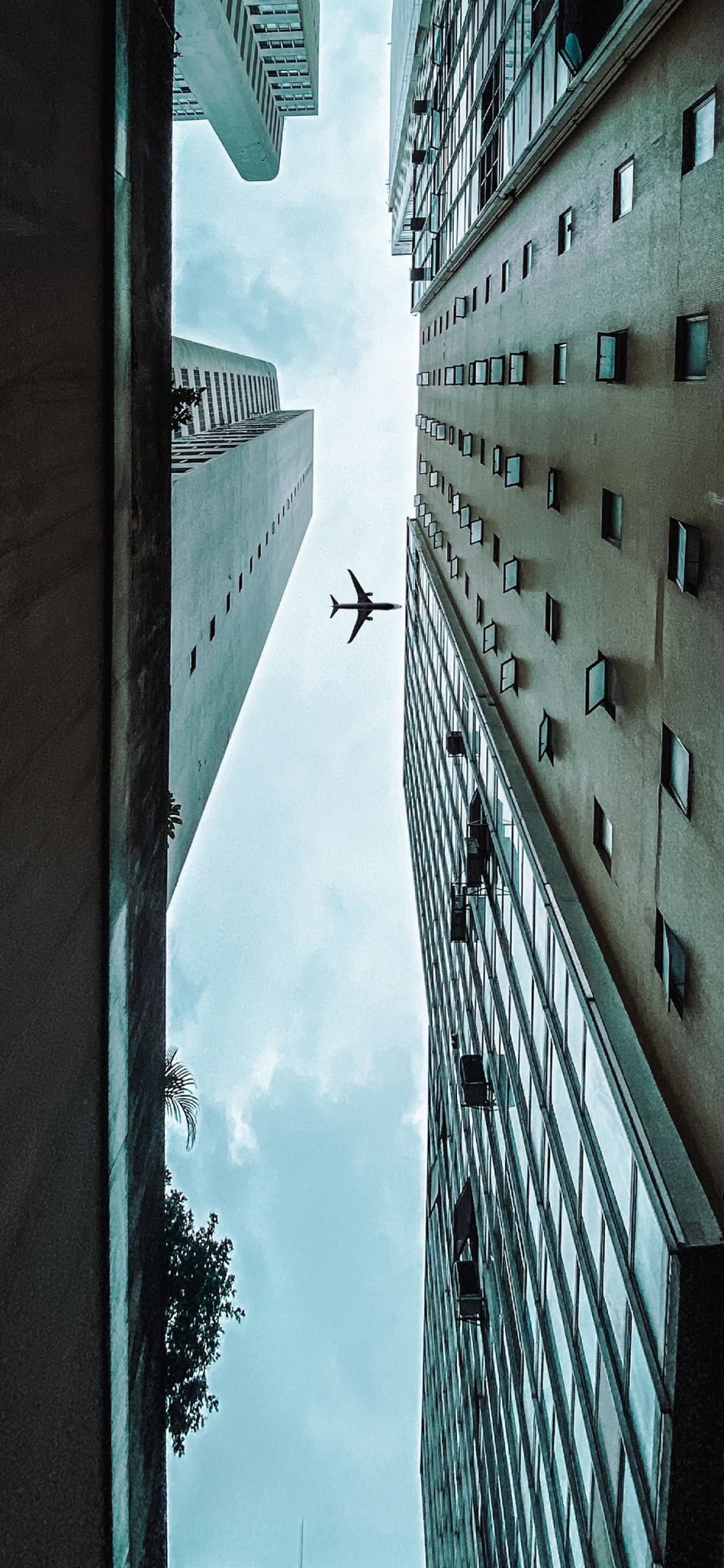 [2436×1125]飞机 飞行 航空 建筑 楼房 苹果手机壁纸图片