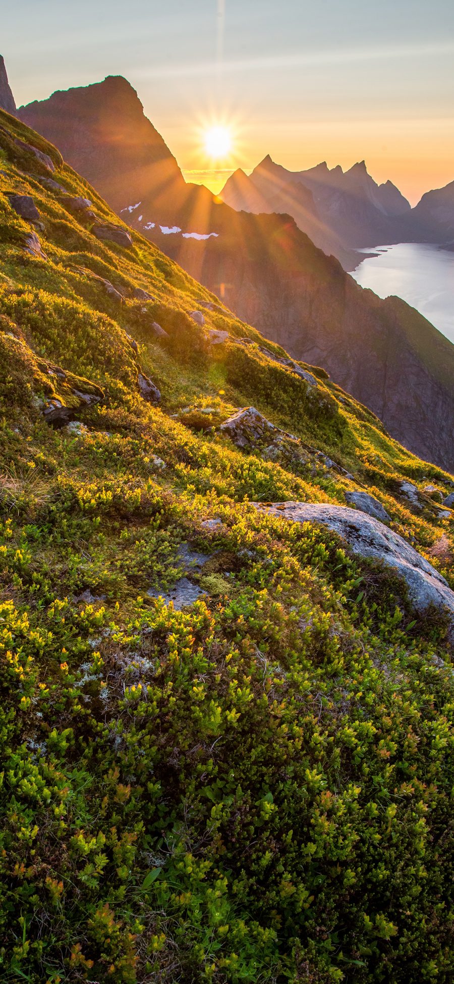 [2436×1125]高山 太阳 草木 岩石 苹果手机壁纸图片