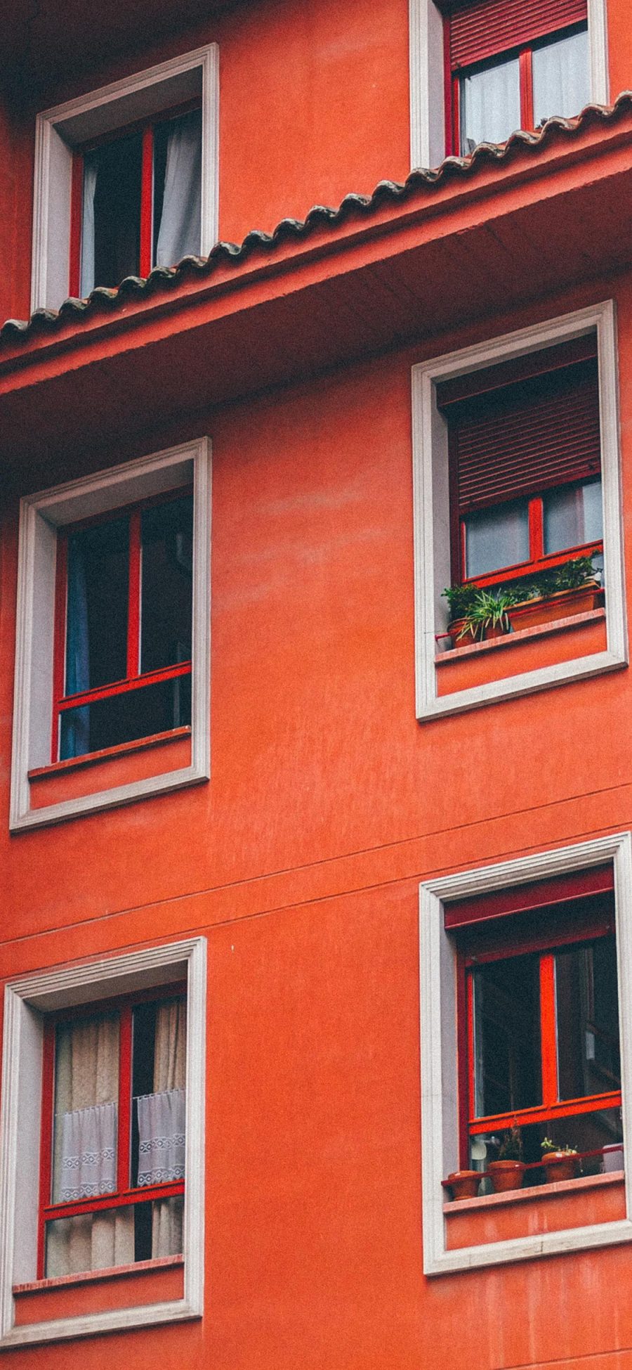 [2436×1125]高楼大厦 建筑 红色 窗户 苹果手机壁纸图片