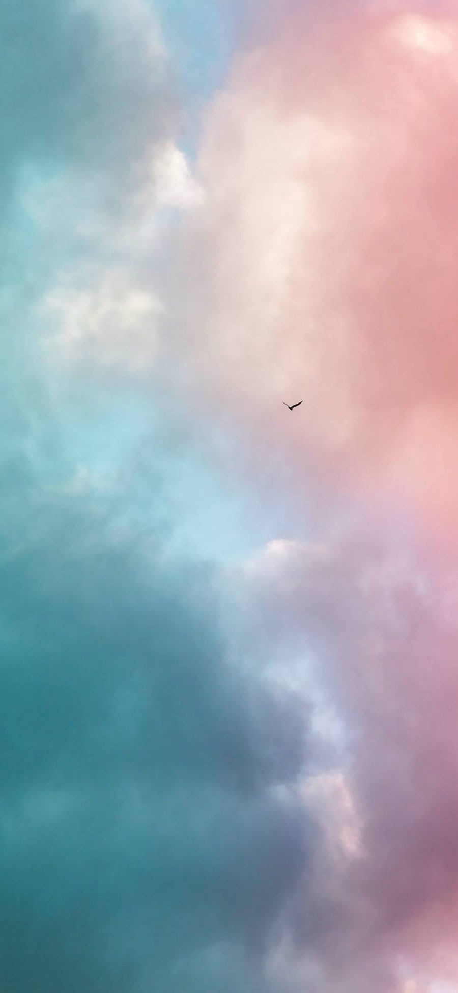 [2436×1125]鸟 天空 飞行 翅膀 唯美 苹果手机壁纸图片