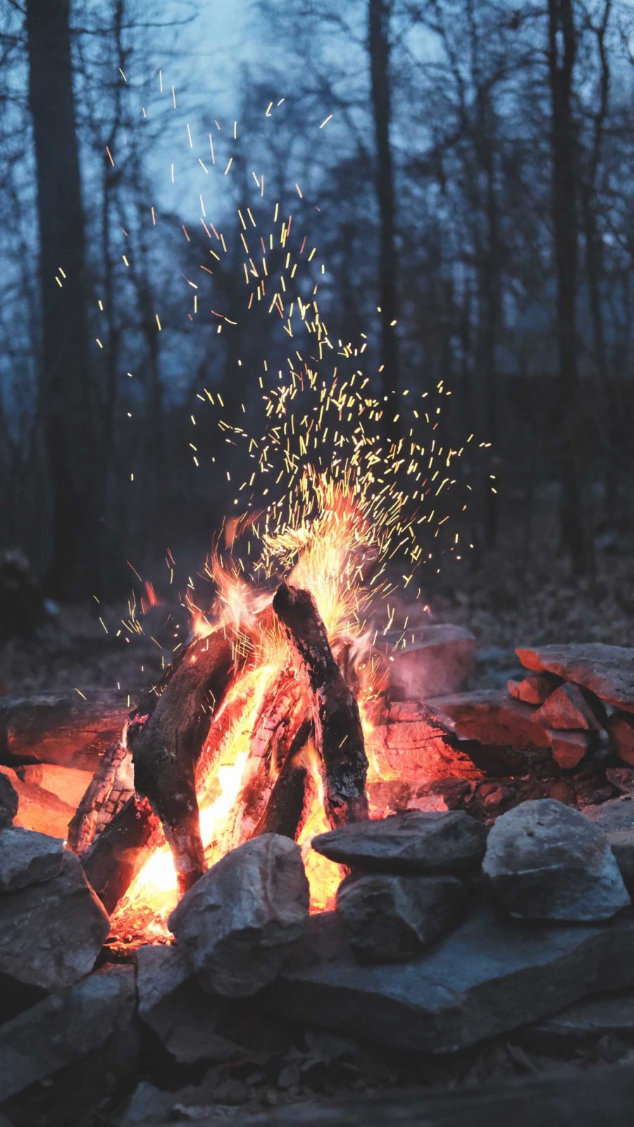 森林里燃烧的篝火唯美摄影手机壁纸