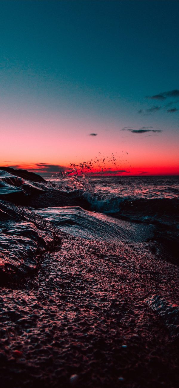 海边岩石，落日海面飞过的海鸥风景手机壁纸