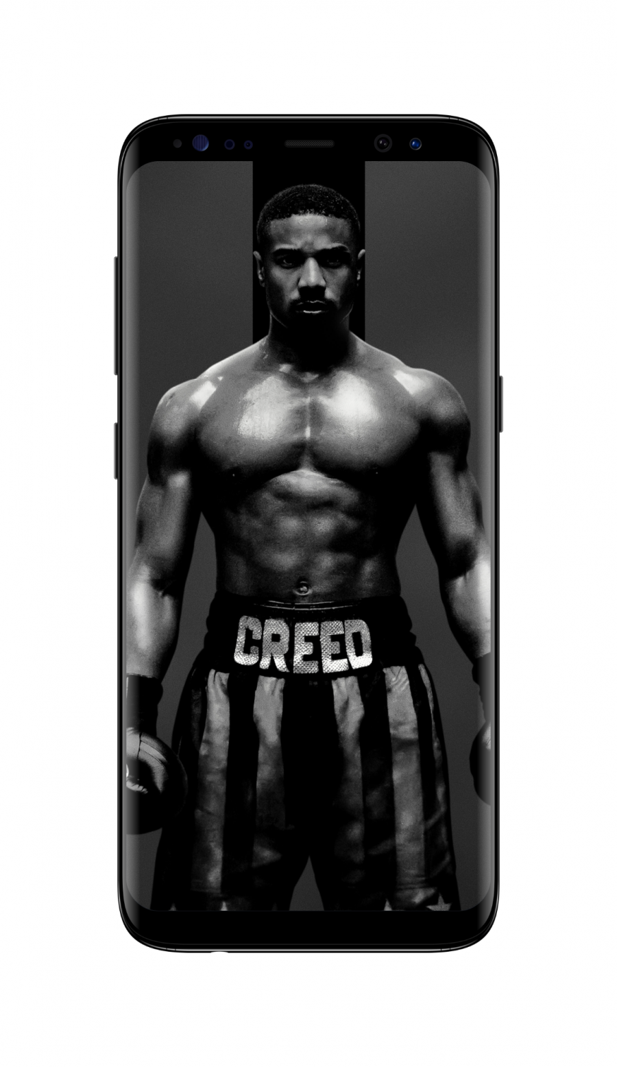 电影 奎迪:英雄再起 Creed II(2018)手机壁纸