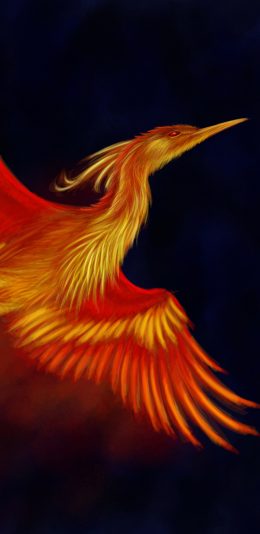 [2960x1440 2K壁纸]Phoenix 凤凰