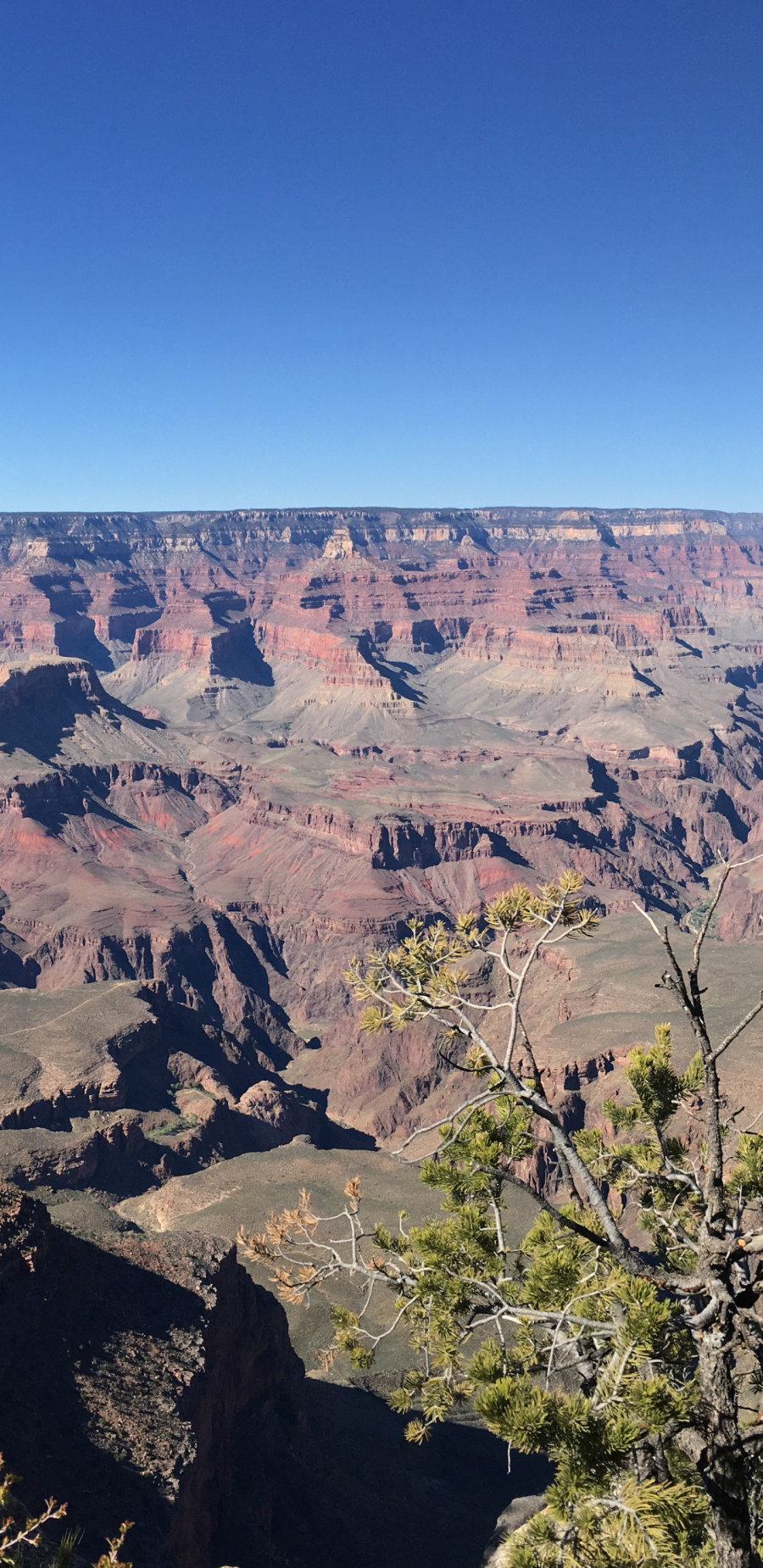 [2960x 1440 2K壁纸]Grand Canyon