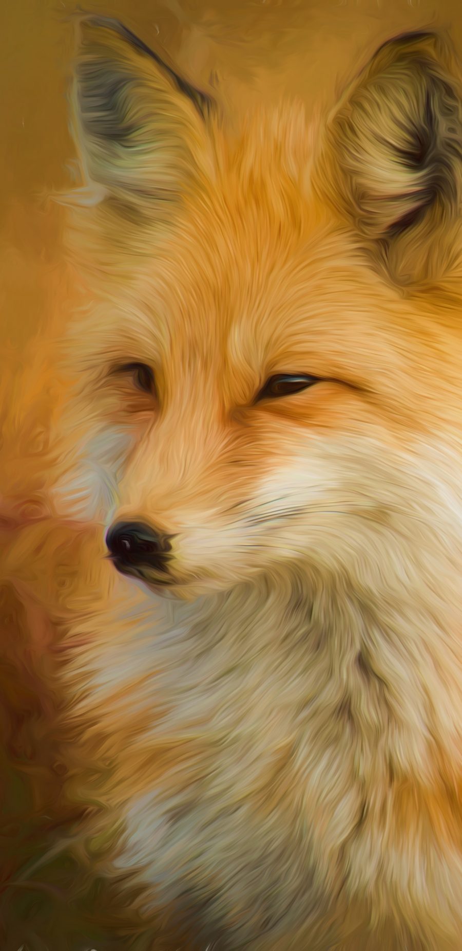 [2960×1440 2K壁纸] Fox 狐狸