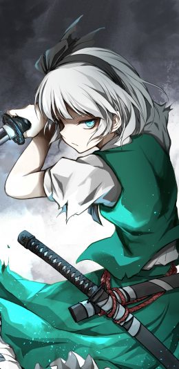 Touhou 动漫游戏(1440x2960)2K手机壁纸图片