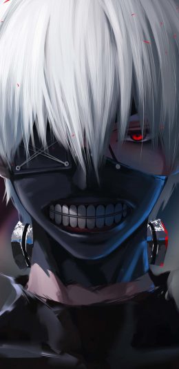 Tokyo Ghoul《东京喰种》 (1440x2960)动漫2K手机壁纸
