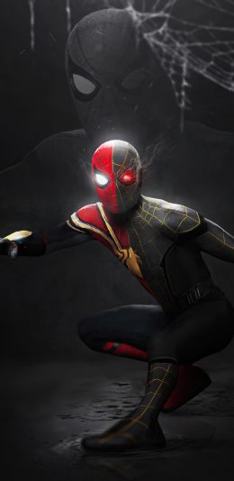 《蜘蛛侠3》《Spider-Man - No Way Home》电影4K手机壁纸（3）