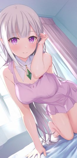 《Re：从零开始的异世界生活》爱蜜莉雅高清手机壁纸